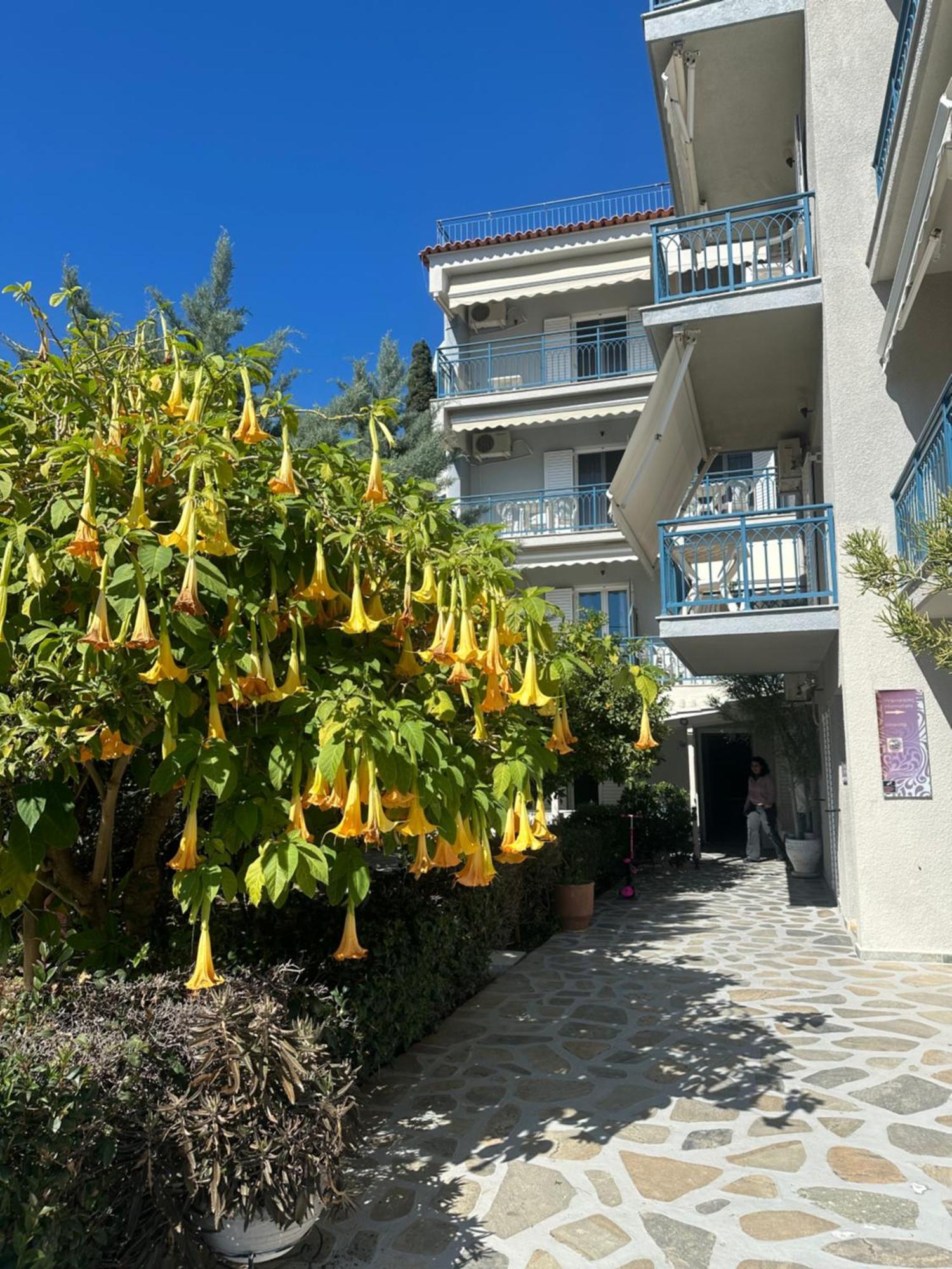 Drossinos Studios Poros Town المظهر الخارجي الصورة