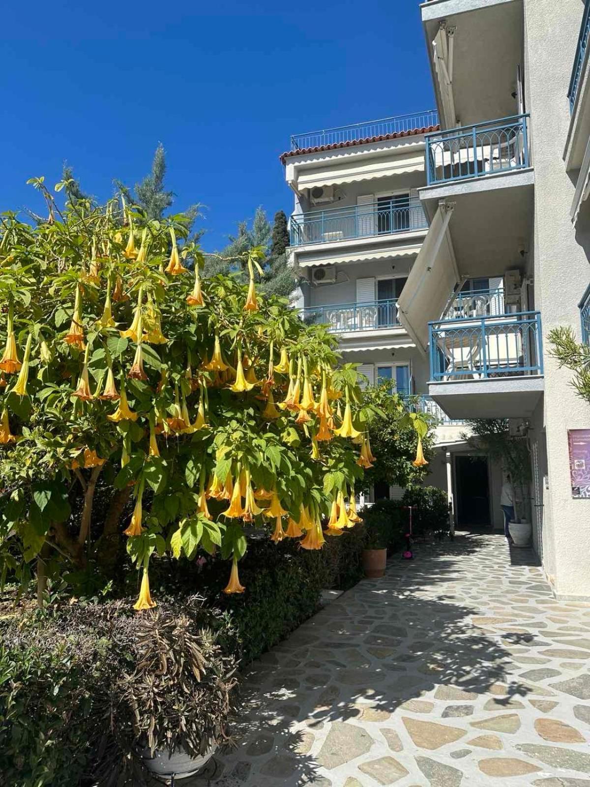 Drossinos Studios Poros Town المظهر الخارجي الصورة